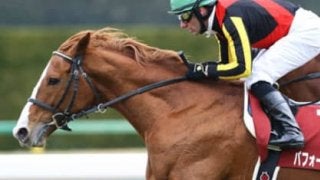 奇跡や伝説が生まれる有馬記念。ならば平成最後は大穴３頭に夢を託す