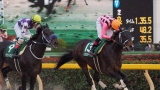 インカンテーション号が競走馬登録抹消