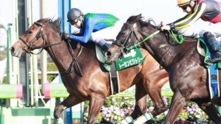 トーセンビクトリー号が競走馬登録抹消