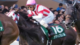 アクティブミノル号が競走馬登録抹消