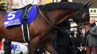 有馬記念は荒れる。穴党記者が送る「３頭」のクリスマスプレゼント