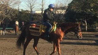 【阪神カップ】ムーンクエイク 1400戦で巻き返しなるか