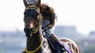 １年の総決算。有馬記念は今年強かった４歳、しかも牝馬で決まり