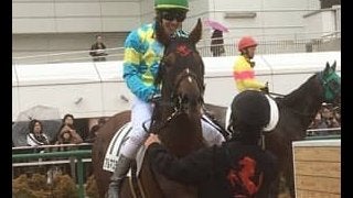 土曜中山５Ｒ新馬はヴィクトワールピサ産駒のアルマスティングが制す