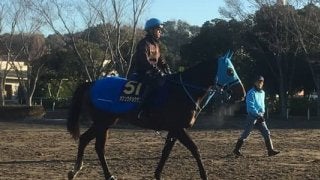 【有馬記念】オジュウチョウサン 和田郎師「最後まで目を離さず応援してもらえたら」