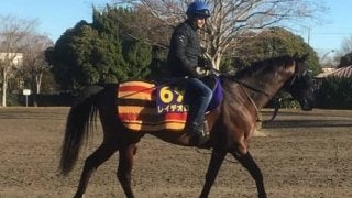 【有馬記念】レイデオロ ゆとりあるローテでグランプリ制覇目指す