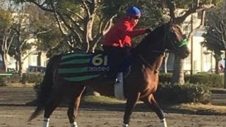 【有馬記念】ブラストワンピース 大竹師「ワクワクしています」