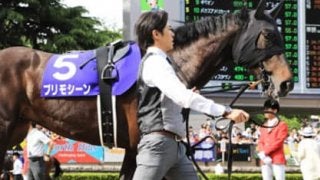 31年ぶりの快挙を遂げた姉プリモシーンにも劣らぬ、パロネラの評判