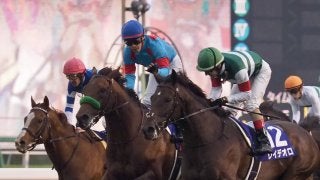【有馬記念】レイデオロ2着敗退！ルメール「今日はハービンジャーの馬場でした」