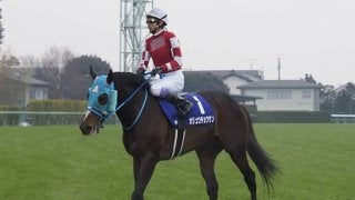 【有馬記念】オジュウチョウサン9着敗退も堂々とした走りを披露！武豊「今年の有馬記念を彼は盛り上げた」