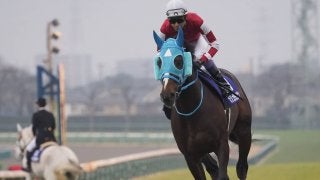 【有馬記念】武豊「思い出に残る有馬記念になった」オジュウチョウサン大健闘の9着
