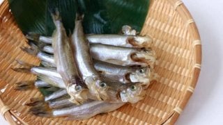 驚くべき「ししゃも」の効果効能