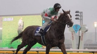 ネオリアリズム号が競走馬登録抹消