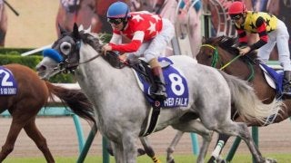 レッドファルクス号が競走馬登録抹消