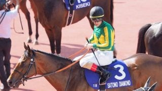 サトノダイヤモンド号が競走馬登録抹消
