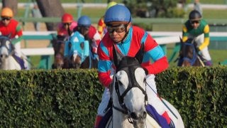 障害の林満明騎手が引退