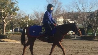 【ホープフルS】コスモカレンドゥラ  豊富なキャリアでG1取りを狙う