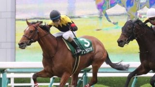 マーメイドSの勝ち馬アンドリエッテ号が競走馬登録抹消
