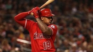 阪神、新助っ人マルテは掛布の「31」に決定　ガルシアは「77」に