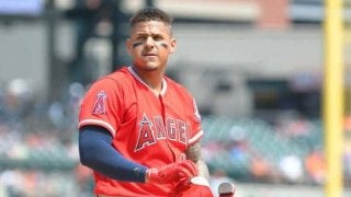 阪神新助っ人マルテ、中軸として期待　退団ロサリオと同じドミニカWLでもプレー