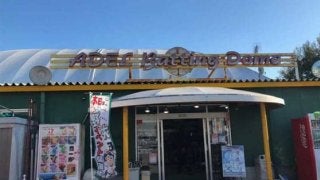 元オリックス選手が社長に転身　客足の絶えない「バッティングセンター」の秘密