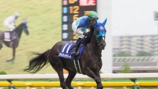 【中山金杯】出走馬の調教後の馬体重