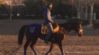 【中山金杯】コズミックフォース 人馬共に復活の期待