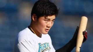 清宮だけじゃない　大砲候補＆有望左腕…日本ハム、2019年ブレイク期待の5選手