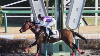 【中山8R】武豊ジャスパープリンスが逃げ切り！