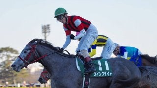 【中山金杯】中山巧者ウインブライトが差し切る！