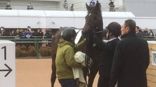 日曜中山３Ｒ新馬はアンダープロミスが１番人気にこたえる