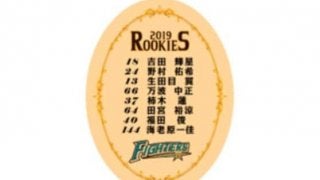 日ハムが9日から鎌ケ谷で新人合同自主トレ開始　ファンに内野スタンド無料開放