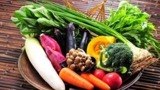 食物繊維と腸内環境について