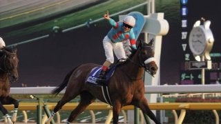 「2018年度JRA賞」決定！年度代表馬はアーモンドアイ号！