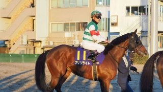 クリソライト号が競走馬登録抹消