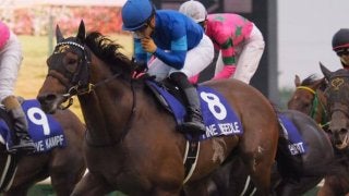 ファインニードル号が競走馬登録抹消