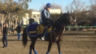 【日経新春杯】グローリーヴェイズ 京都コースでは安定した走り