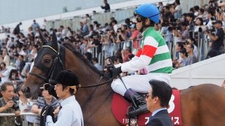 ステファノス号が競走馬登録抹消