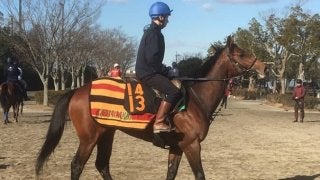 【京成杯】ランフォザローゼス 短期放牧を挟んで順調