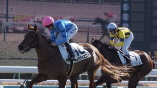 【中山5R】ミモザイエローが直線抜け出して快勝！