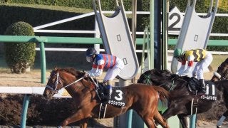 【ジャニュアリーS】ホウショウナウが直線一気でゴボウ抜き！