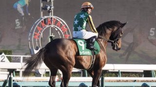 【京成杯】内田博「途中から厳しいレースに…」レース後ジョッキーコメント