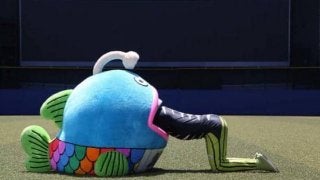 ロッテ謎の魚が寿司屋レアードに異例のお願い「私はとてもまずいです」