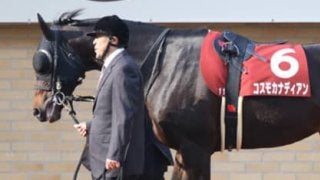 １番人気が鉄板の東海Ｓはヒモ穴狙い。地味系３頭がド派手な仕事するぞ