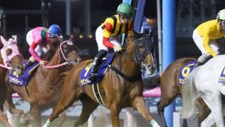 【TCK女王杯】JRA出走予定馬