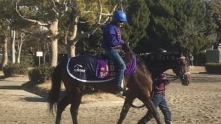 【AJCC】フィエールマン  ルメール「コンディションの心配はありません」