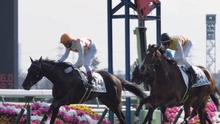 【中山6R/新馬戦】ミッキーフォンテンが馬群を割って抜け出す！