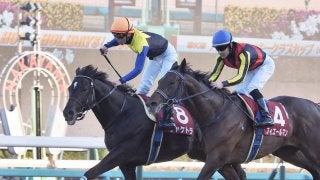 【AJCC】シャケトラ1年の休養明けで復活V！フィエールマンは2着