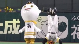 【2018年プロ野球名場面】人気マスコット、まさかの“場外戦”　鷹ふうさんがバファローブルを“KO”
