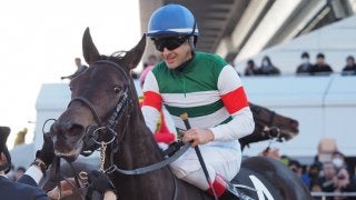 日曜中山９Ｒ・菜の花賞は良血コントラチェックが１番人気にこたえる